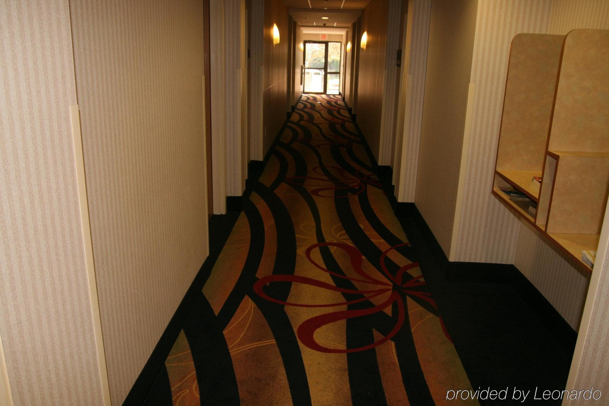 Holiday Inn Express Hotel & Suites Tampa-Anderson Road-Veterans Exp By Ihg West Chase Εσωτερικό φωτογραφία